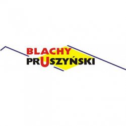 Pruszyński - belüftet unter Firststreifen